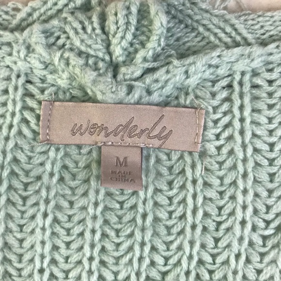 Wonderly Sage Mint Raw Distressed Sweater - Picture 3 of 6